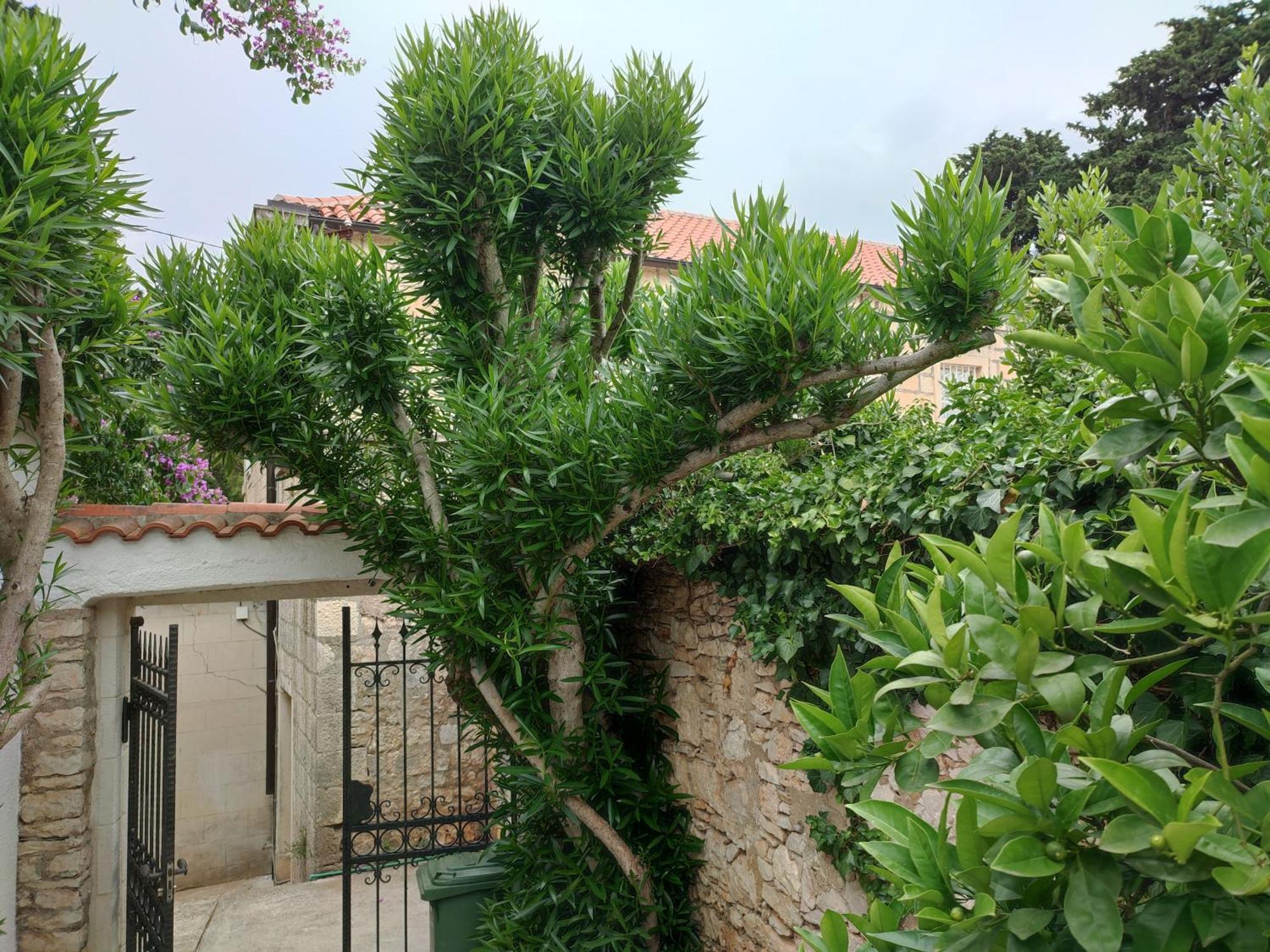 Villa Rustika Sutivan Buitenkant foto